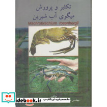 تکثیر و پرورش میگوی آب شیرین