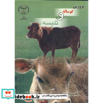پرورش گوساله و تلیسه