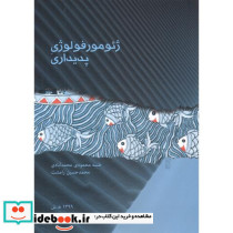 ژئومورفولوژی پدیداری