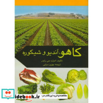 کاهو آندیو وشیکوره 