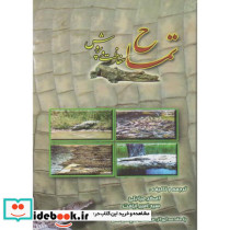 تمساح پرورش و حفاظت