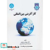 کارآفرینی بین المللی