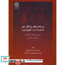 زیرساخت های پروتکل ملی درمان با اسب