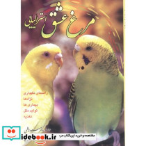 مرغ عشق استرالیایی