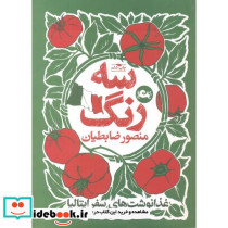 سه رنگ غدا نوشت های سفر ایتالیا قطع وزیری
