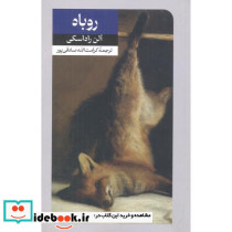 روباه نشر امیرکبیر