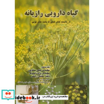 گیاه دارویی رازیانه از دانسته های کهن تا یافته های نوین