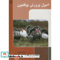 اصول پرورش بوقلمون