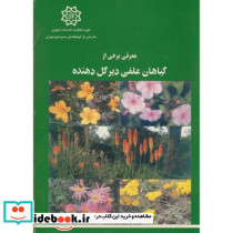 معرفی برخی از گیاهان علفی دیر گل دهنده