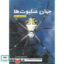 جهان عنکبوتها