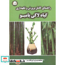 راهنمای کامل پرورش و نگهداری گیاه لاکی بامبو