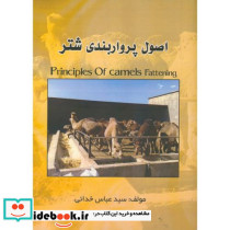 اصول پرواربندی شتر