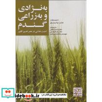 به نژادی و به زراعی گندم