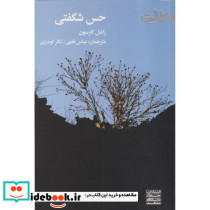 حس شگفتی