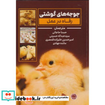 جوجه های گوشتی رفاه در عمل