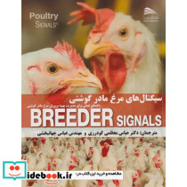 سیگنال های مرغ مادر گوشتی