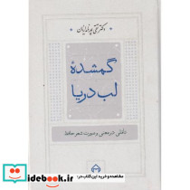 گمشده لب دریا تاملی در معنی و صورت شعر حافظ