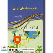 اقتصاد شبکه های انرژی