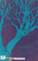یادگاری از زبان عشق