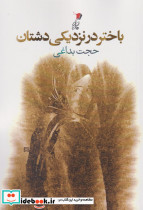 باختر در نزدیکی دشتان