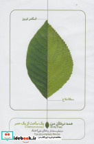 سی دی همه درختان من