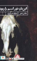 این بار نور اسبم را ربود