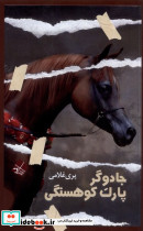 جادوگر پارک کوهسنگی