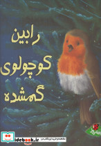 رابین کوچولو گمشده