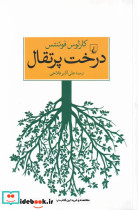 درخت پرتقال