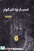 دستم باز بود دلم کبوتر