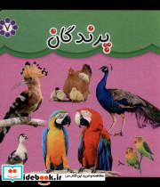 پرندگان نشر گوهر اندیشه