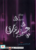 چشمه روشن دیداری با شاعران