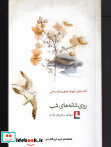 روی شانه های شب