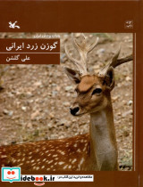 گوزن زرد ایرانی - تصویر 3