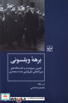 برهه ویلسونی