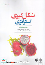 فرهنگ و مدیریت 158 شکل گیری استراتژی