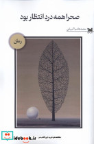 صحرا همه درد انتظار بود