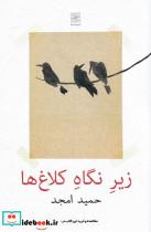 زیر نگاه کلاغ ها