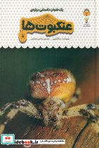 یک فنجان دانستنی درباره ی عنکبوت ها