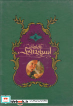 ماجراهای اسپایدرویک