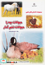 مجموعه دانستنی های علمی حیوانات بچه زا حیوانات تخم گذار
