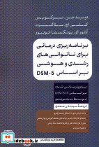 برنامه ریزی برای ناتوانی های رشدی و هوشی بر اساس DSM-5 - تصویر 3
