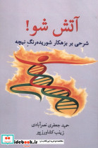 آتش شو