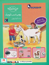 پونی اسب کوچک همراه با برچسب - تصویر 3