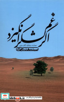 اگرغم لشگرانگیزد حماسه سجادیه،کتاب دوم نیستان