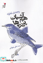 هم آشیان پرنده ها