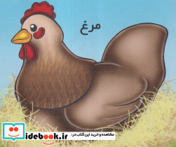 مرغ از حیوانات را بشناسیم