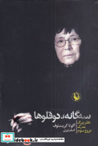 سه گانه دوقلوها