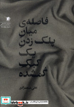 فاصله ی میان پلک زدن یک کبک گمشده سیب سرخ