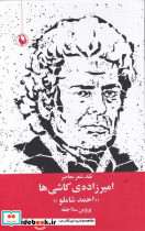 امیرزاده ی کاشی ها